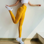 Moulant Femmes grande taille, jogging Femme Sexy