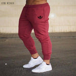 Pantalon jogger coton